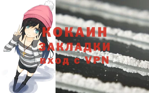кокс Белокуриха