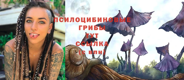 ECSTASY Балабаново