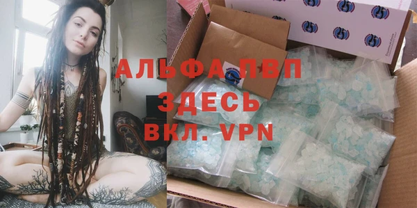 шишки Баксан