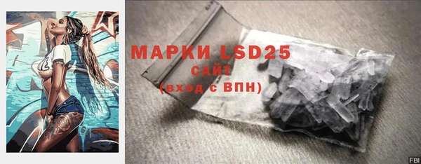 шишки Баксан