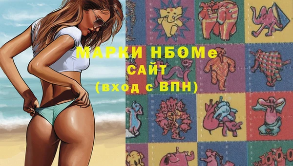 шишки Баксан